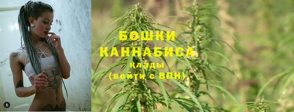 мяу мяу мука Баксан