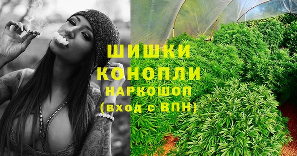 мяу мяу мука Баксан