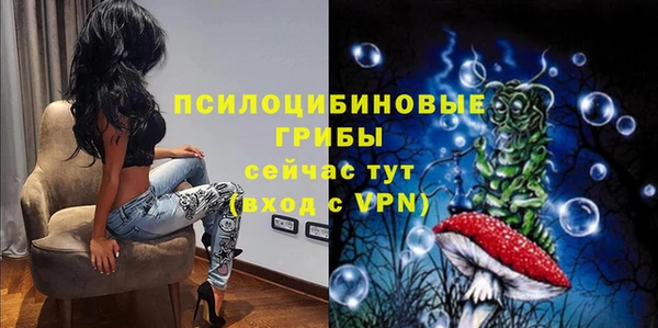 мяу мяу мука Баксан